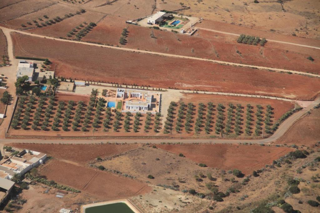 Olivares Rural Los Albaricoques Luaran gambar