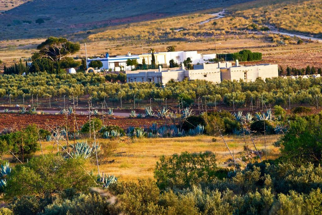 Olivares Rural Los Albaricoques Luaran gambar